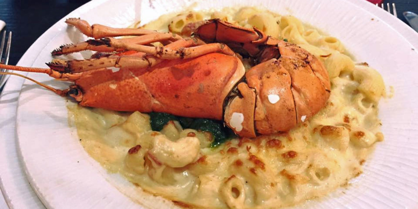 Lobster Mac and Cheese