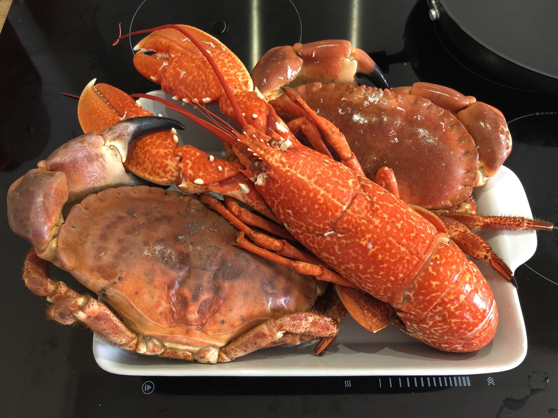 Fish Mongers in Newlyn Where to buy fresh fish Colour My Days