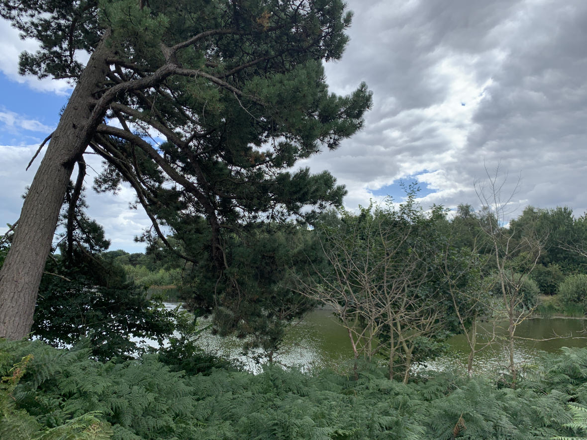 Lound Lakes Lound Lakes