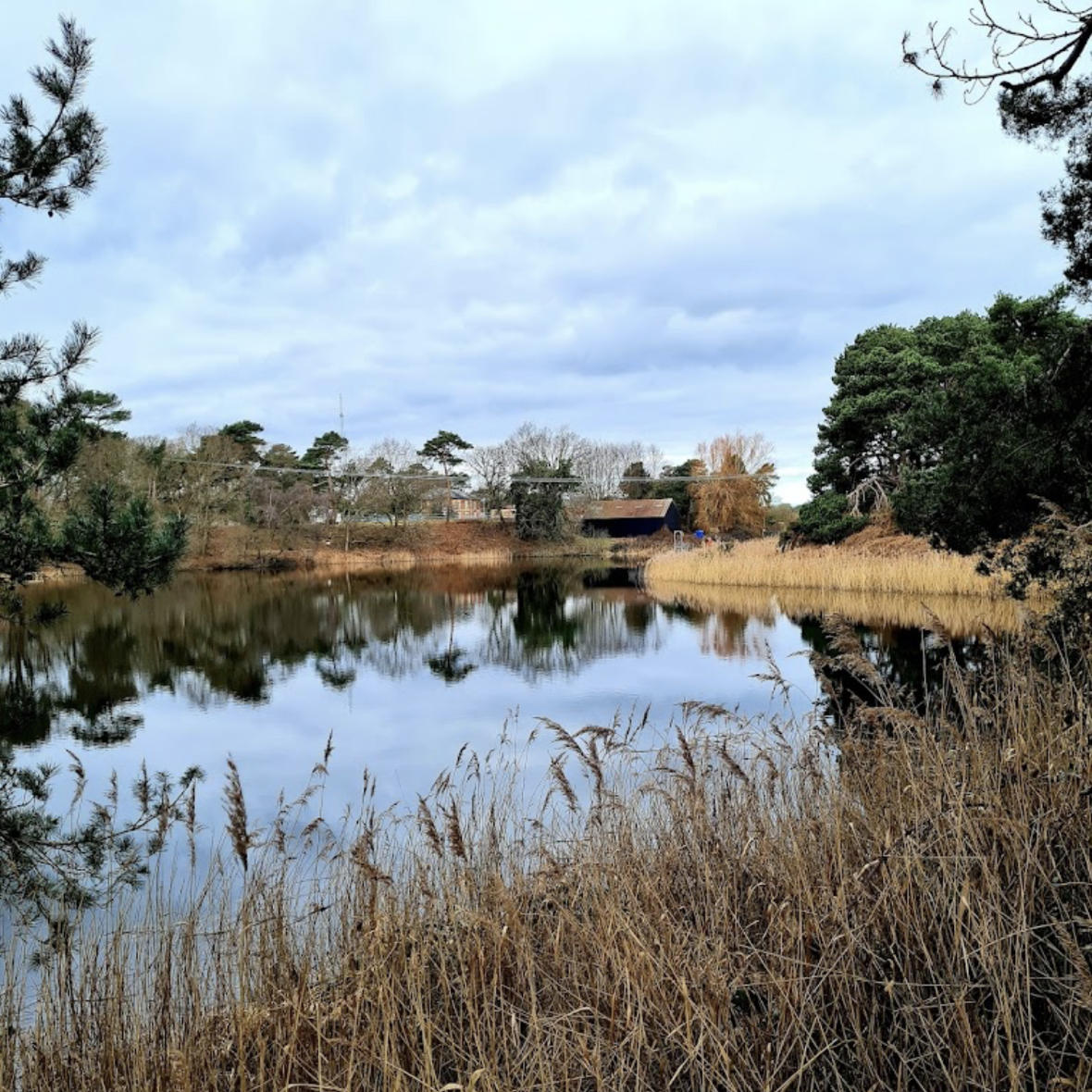 Lound Lakes Photo by G Holmes Lound Lakes Photo by G Holmes