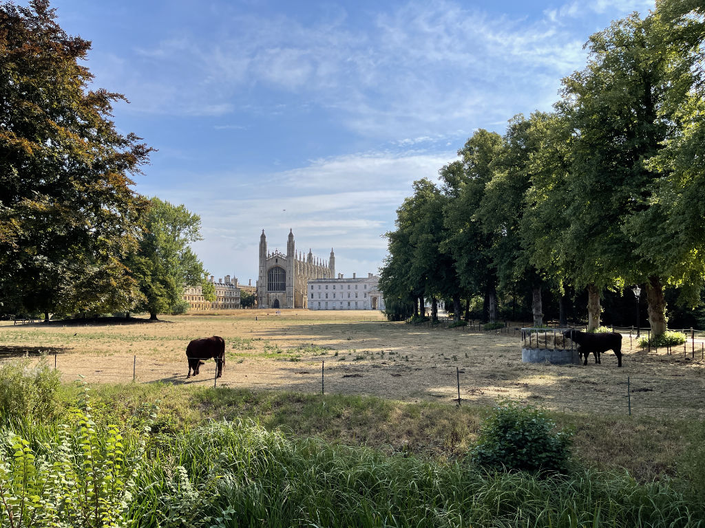 Kings College Chapel Kings College Chapel