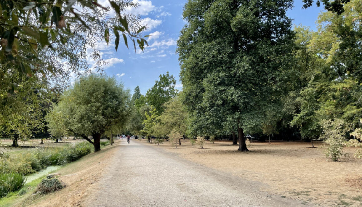 The Backs Garden Path