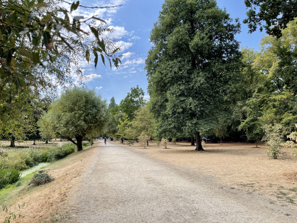 The Backs and a ‘secret' pathway to the City of Cambridge