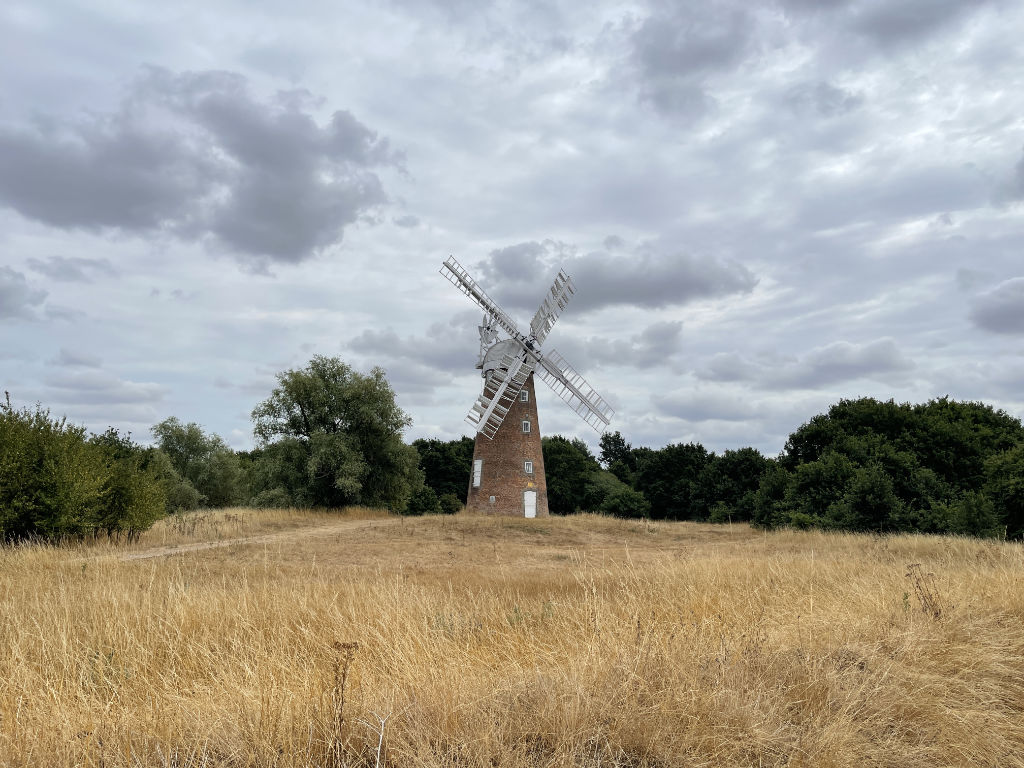 Windmill Wide View