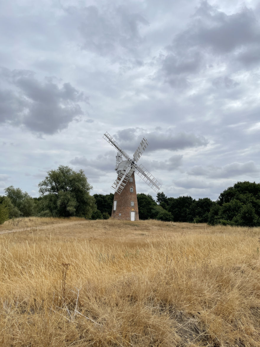 Windmill Portrait Ultra Wide