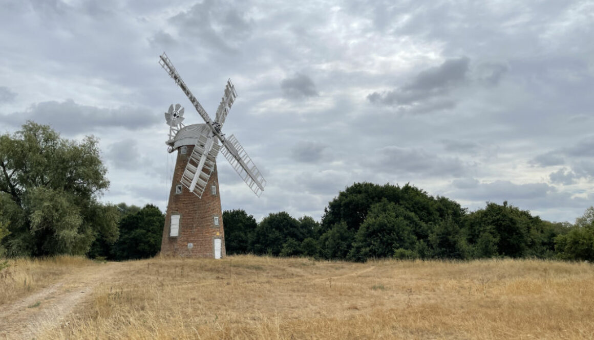 IMG_4914 Windmill Wide Left