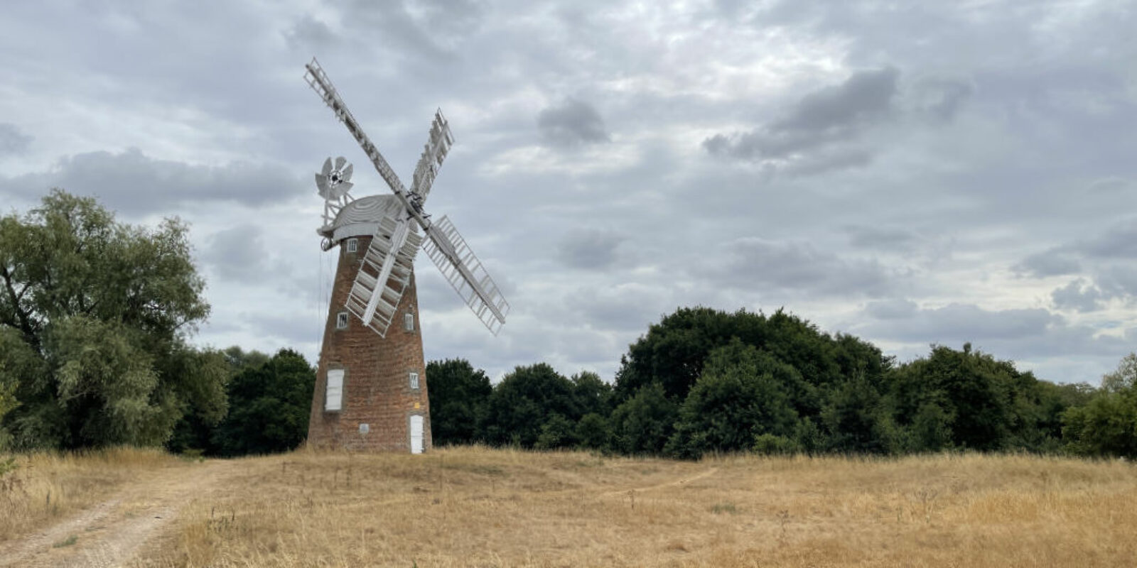 IMG_4914 Windmill Wide Left