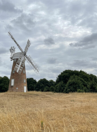 IMG_4914 Windmill Wide Left