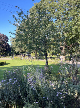 Exmouth Manor Garden Wide