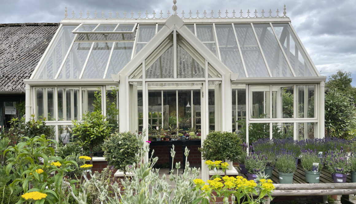 IMG_8126 Powderham Greenhouse 1280