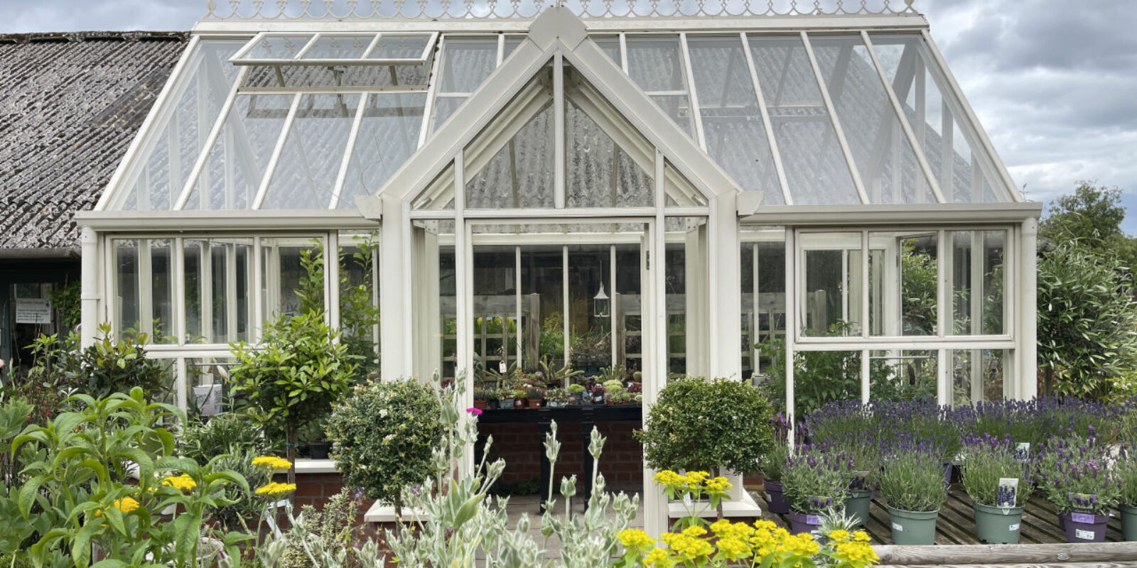 IMG_8126 Powderham Greenhouse 1280