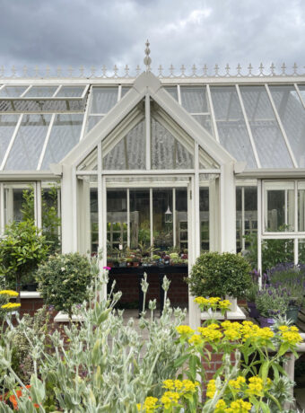 IMG_8126 Powderham Greenhouse 1280