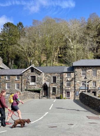 Beddgelert IMG_8775 Stone Bridge and Walks